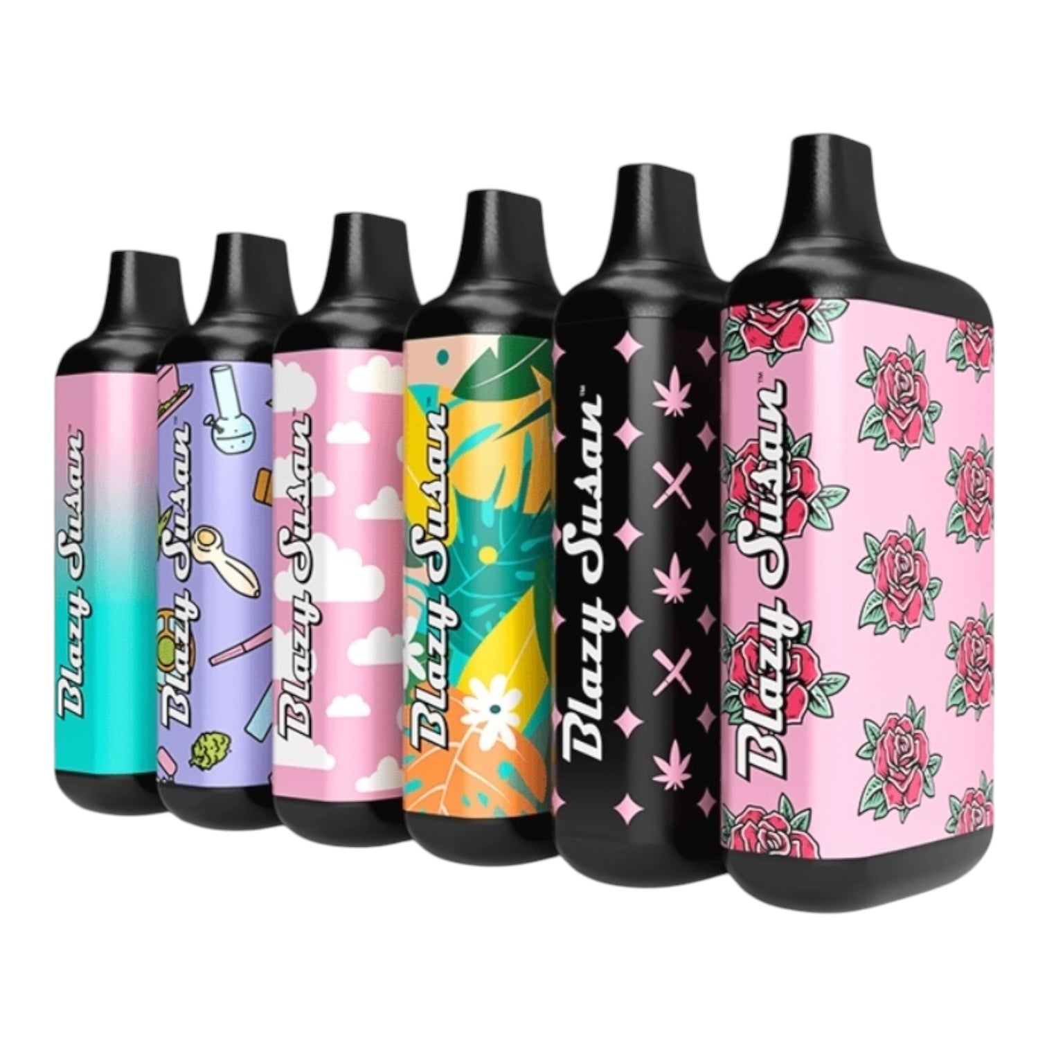 Blazy Susan 900mAh Adjustable Voltage Battery