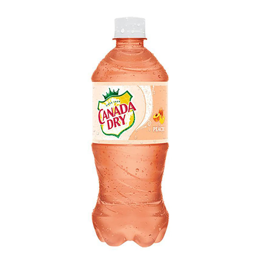 Exotic Soda Canada Dry 20Fl oz (24/cs)