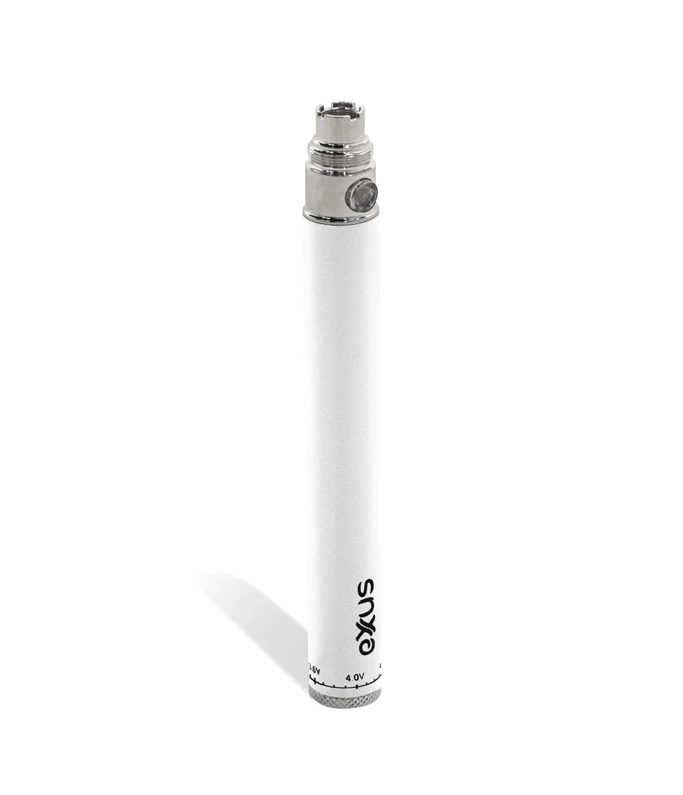 Exxus 1100mah Battery and Charger Blister Pack