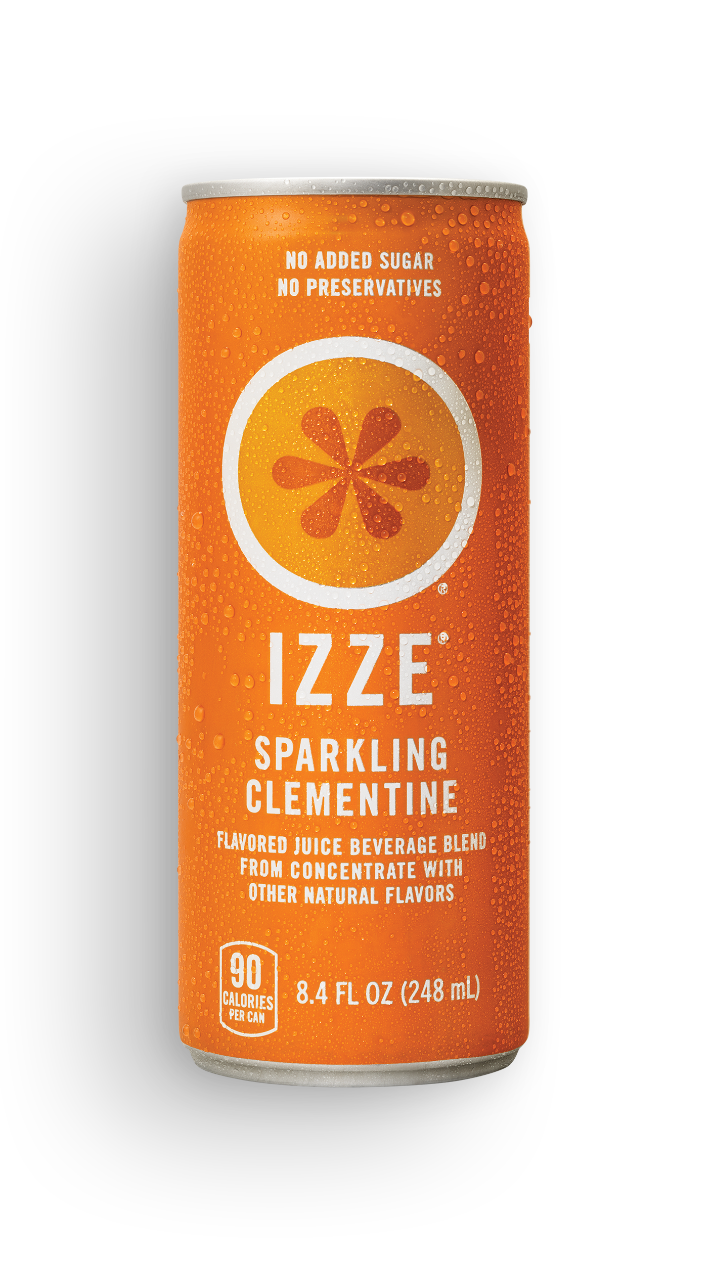 buy IZZE Sparkling Juice Safe Can