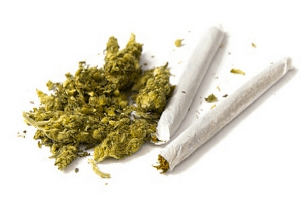 14 Best Rolling Papers in 2021