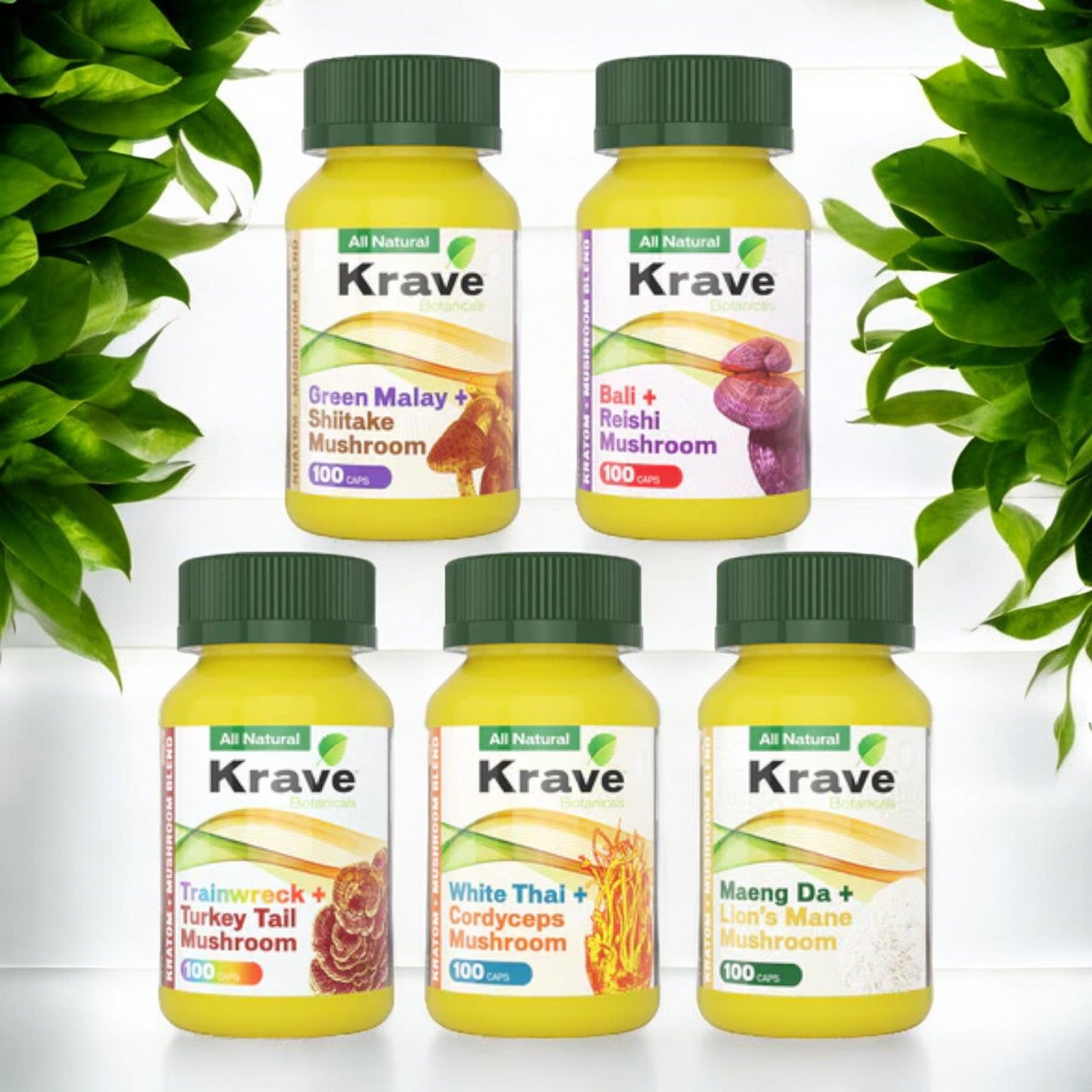 Buy Krave Kratom Mushroom Capsules at wholesale price 100ct