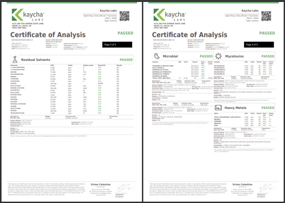 JUST CBD Hemp Infused Gummies 250MG