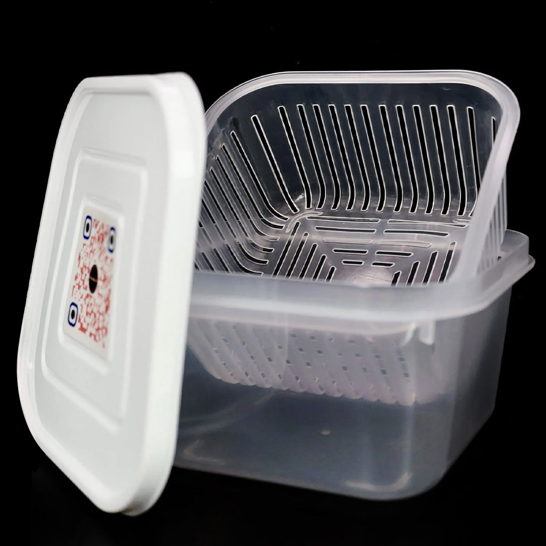 Heady Swabs - Banger Tank