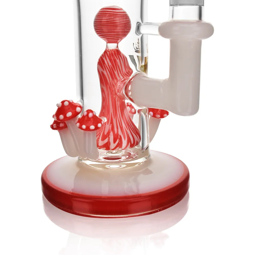 Mk100 12 angry mushroom kit price in bulk