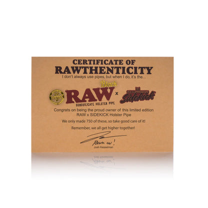 Raw Black Holster Side Kick Water Pipe