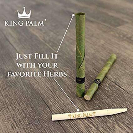 Buy King Palm Mini Rolls
