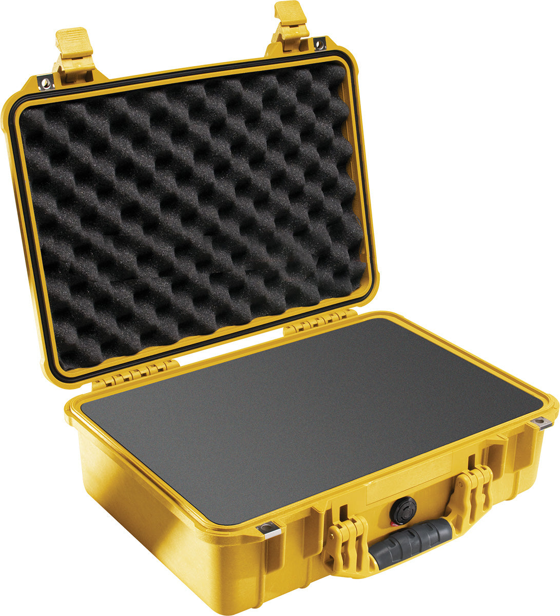 1500 Pelican Protector Case